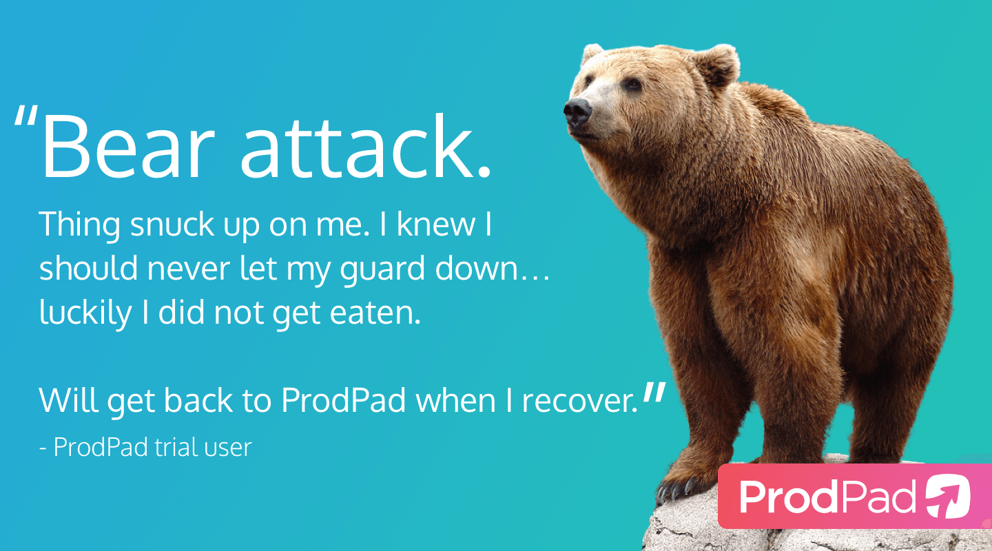 A response to our bear attack user onboarding email