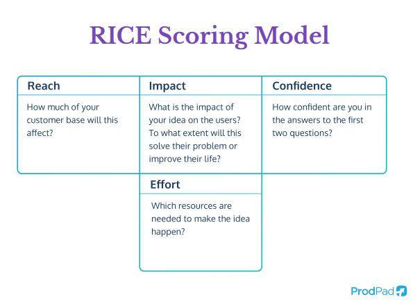 An image demonstrating the RICE scoring model