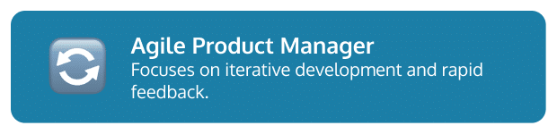 Agile Product Manager description