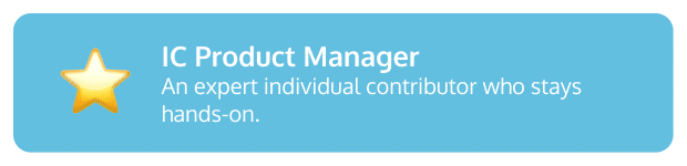IC Product Manager