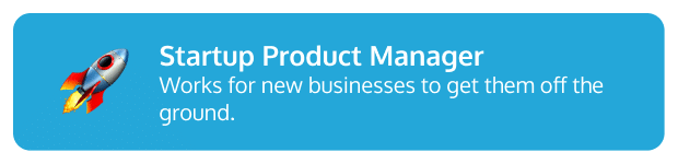 Startup Product Manager Description